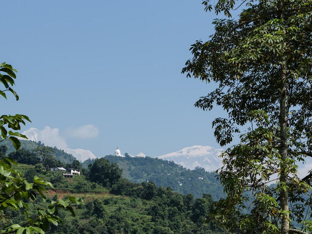 The Pavilions Himalayas The Farm بوكْرا المظهر الخارجي الصورة